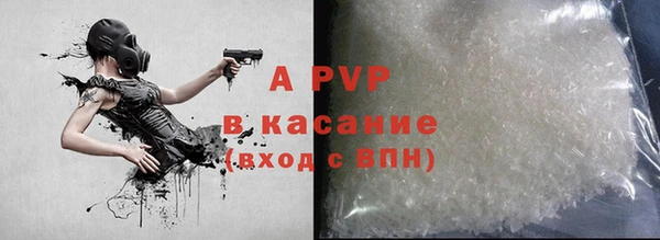 ECSTASY Алзамай