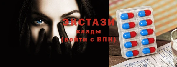 ECSTASY Алзамай