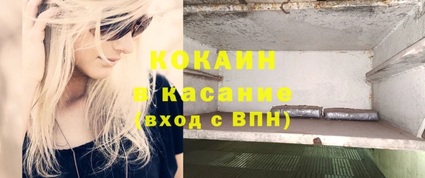 ECSTASY Алзамай